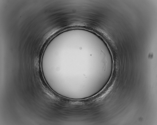 X0000099571113200806061556
