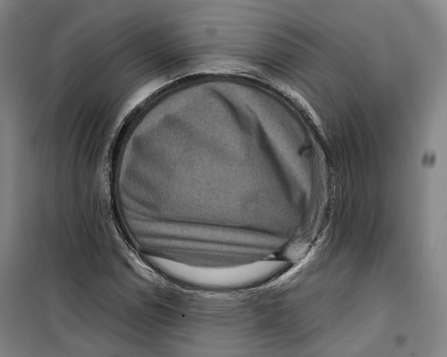 X0000099571114200806061556
