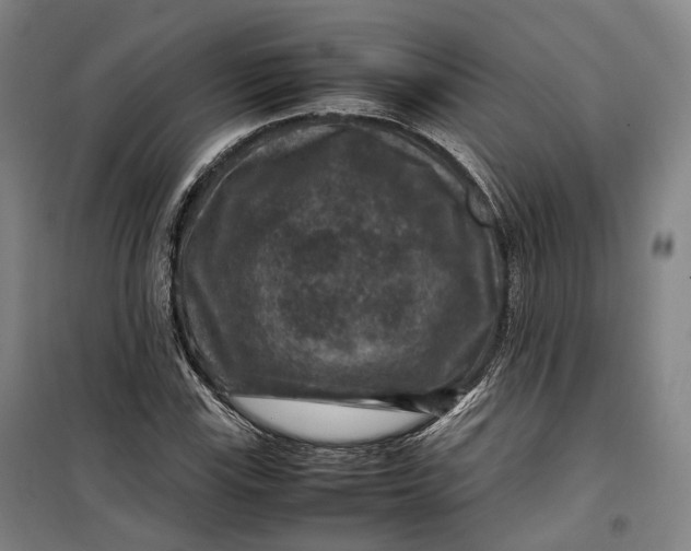X0000099571115200806061556