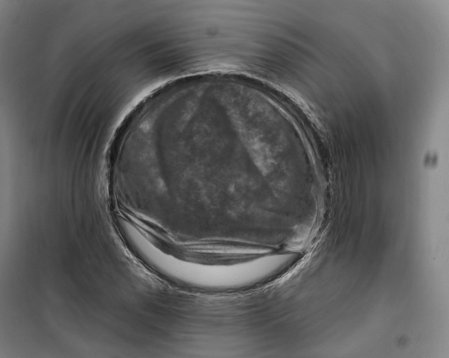 X0000099571118200806061556