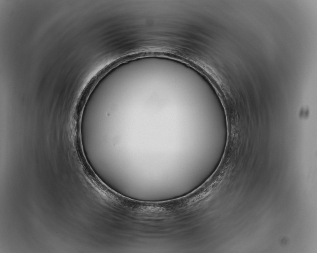 X0000099571119200806061556