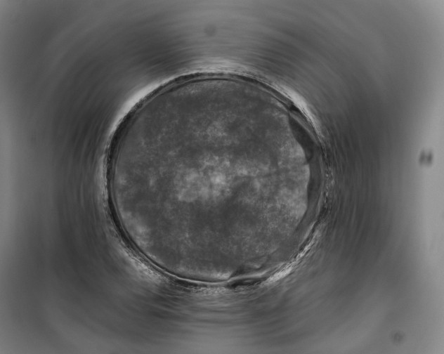 X0000099571120200806061556