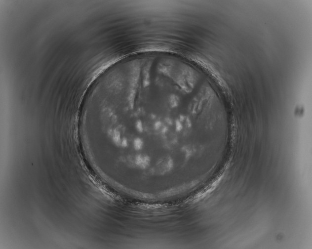X0000099571121200806061556