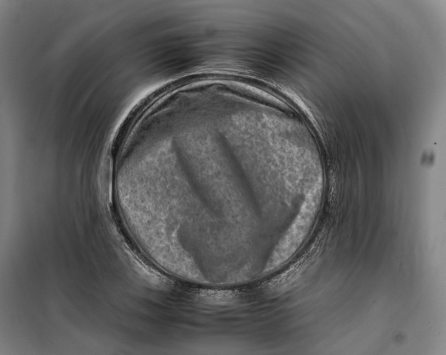 X0000099571123200806061556