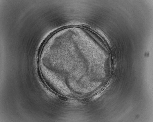 X0000099571124200806061556