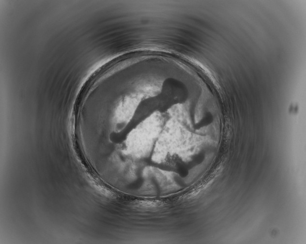 X0000099571125200806061556