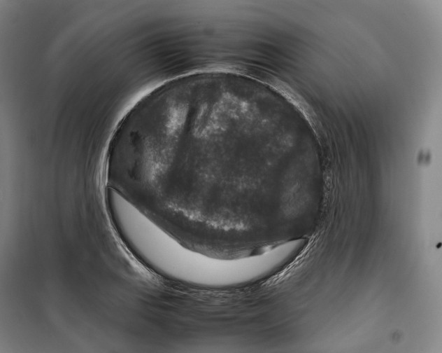 X0000099571127200806061556