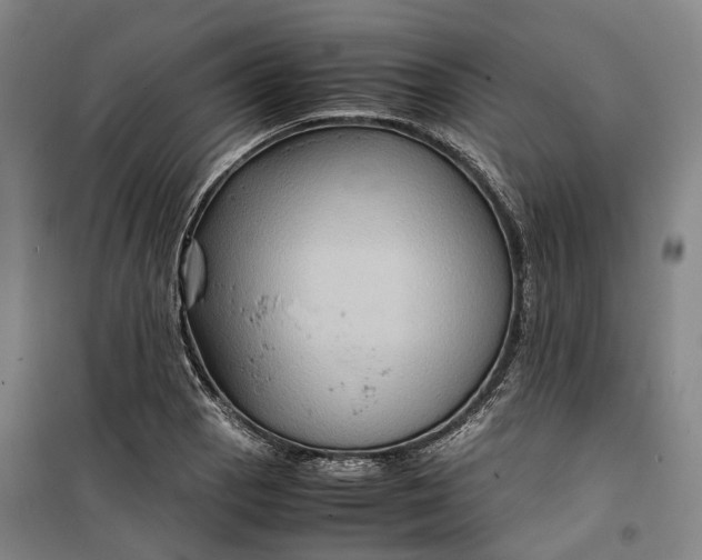 X0000099571129200806061556