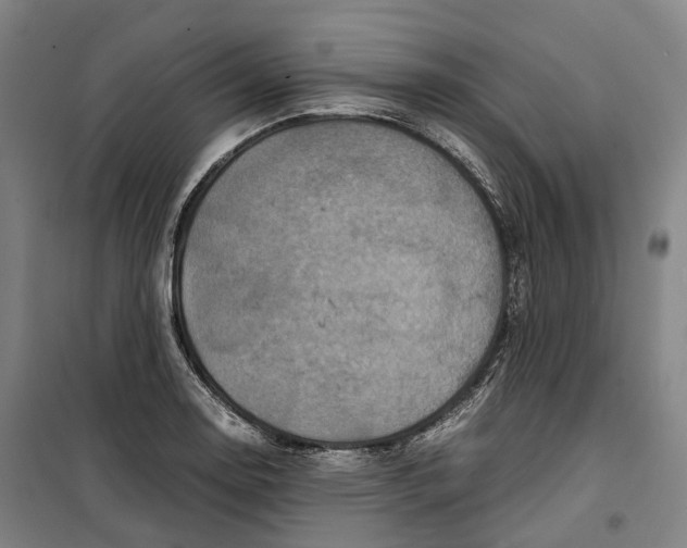 X0000099571130200806061556