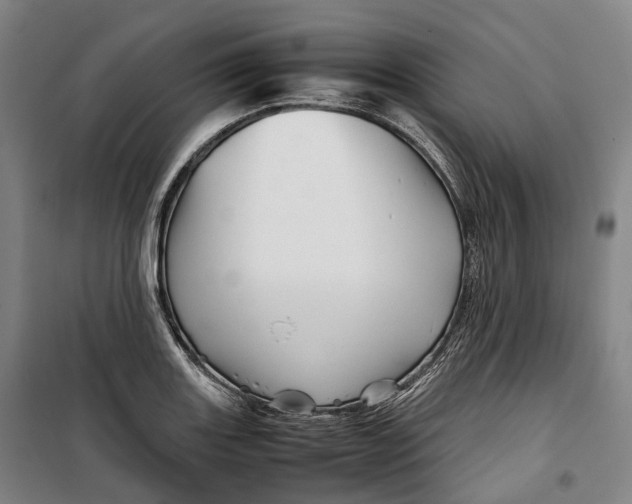 X0000099571131200806061556