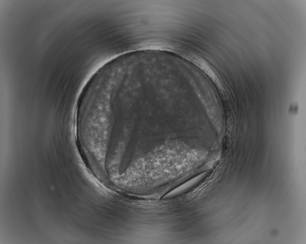 X0000099571132200806061556