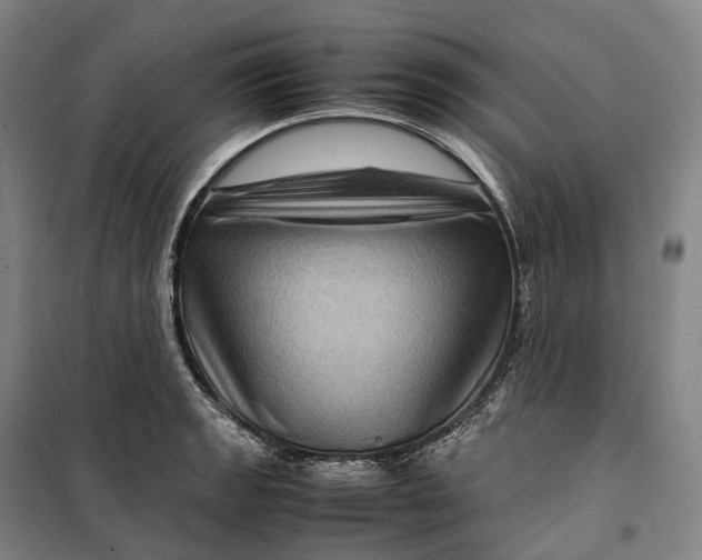 X0000099571133200806061556