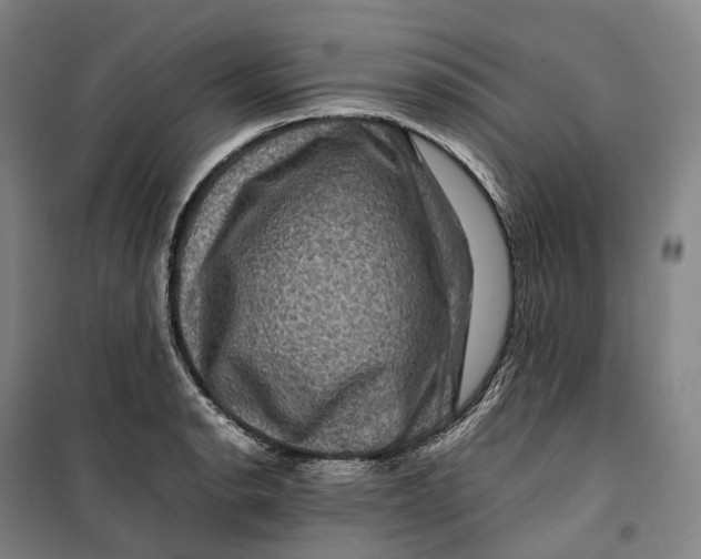 X0000099571134200806061556