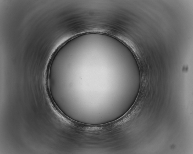 X0000099571135200806061556
