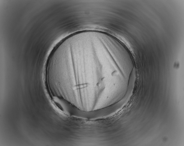 X0000099571136200806061556