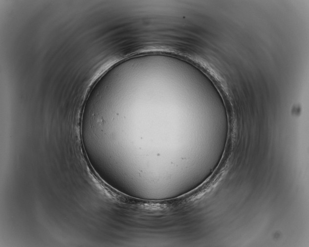 X0000099571137200806061556