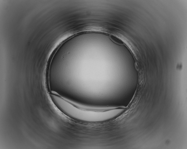X0000099571139200806061557