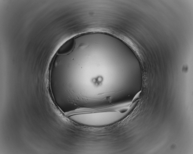 X0000099571140200806061557