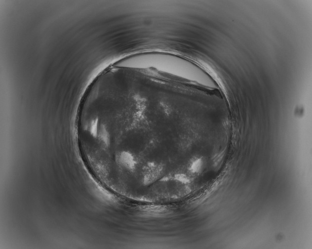 X0000099571141200806061557