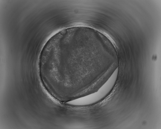 X0000099571142200806061557