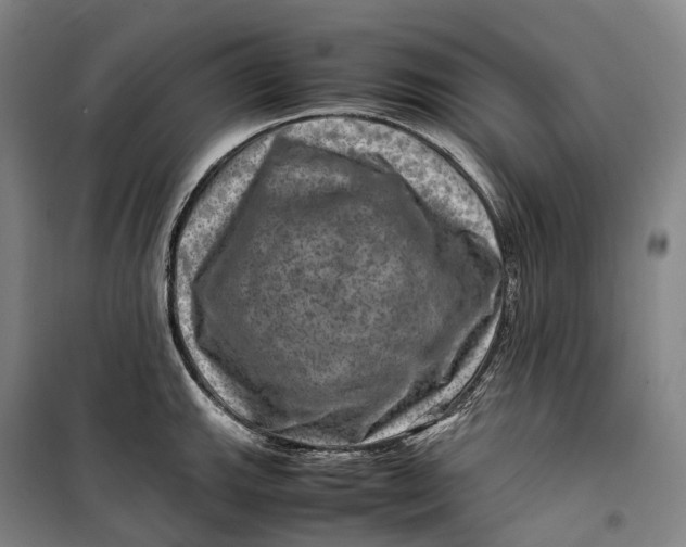 X0000099571143200806061557