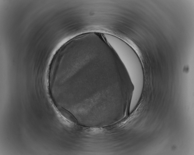 X0000099571144200806061557