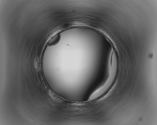 X0000099571145200806061557