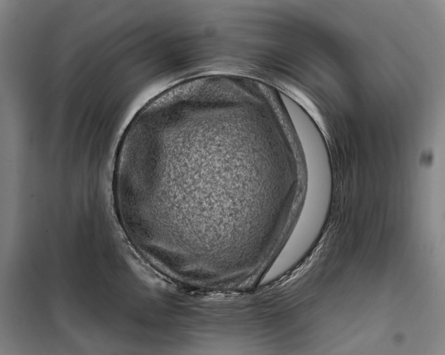 X0000099571146200806061557