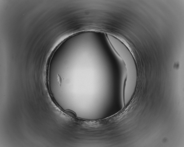 X0000099571147200806061557