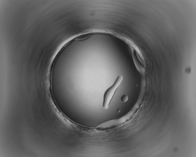 X0000099571148200806061557