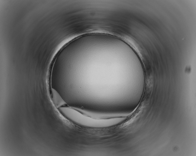 X0000099571149200806061557