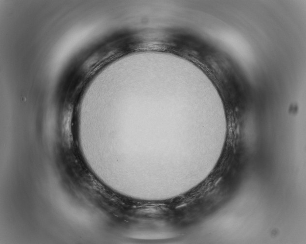 X0000099571150200806061557
