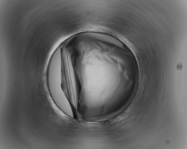 X0000099571152200806061557