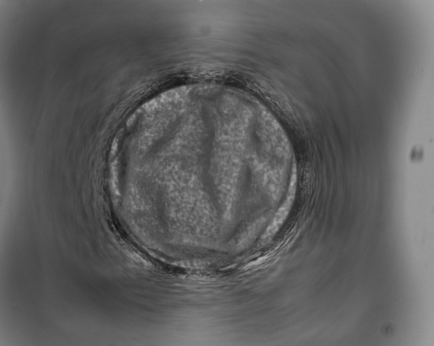 X0000099571153200806061556