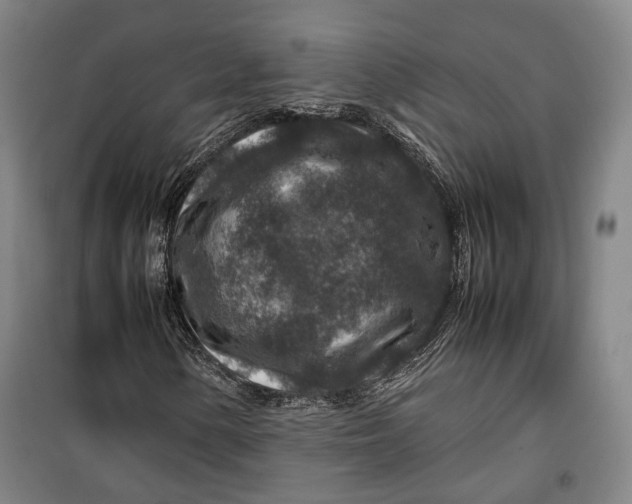 X0000099571154200806061556