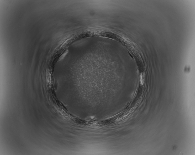X0000099571155200806061556