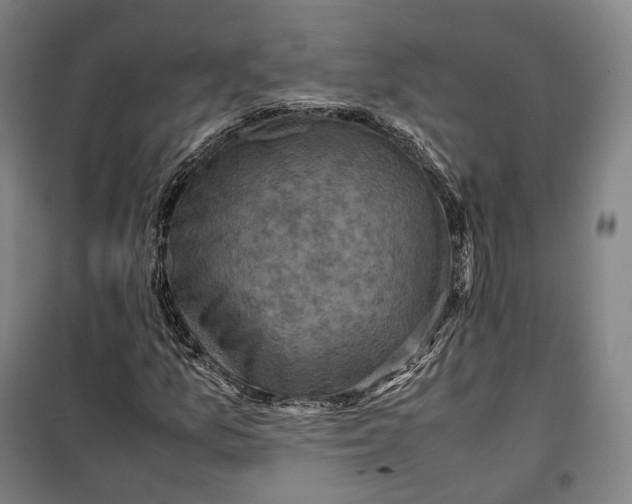 X0000099571157200806061556