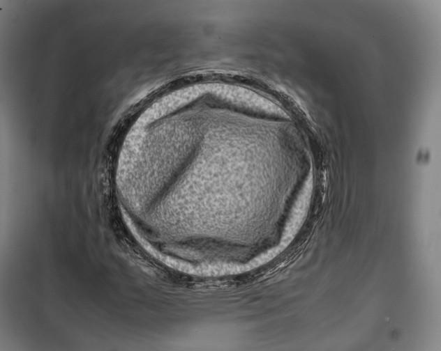 X0000099571159200806061556