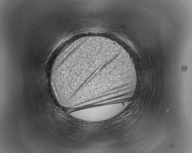 X0000099571160200806061556