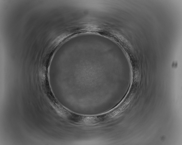 X0000099571161200806061556