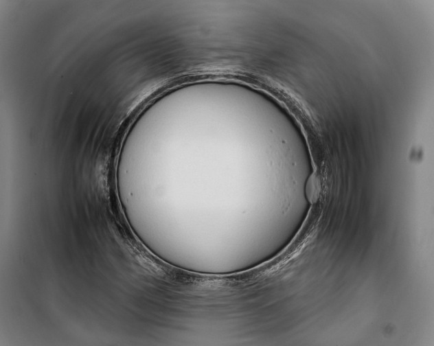 X0000099571162200806061556