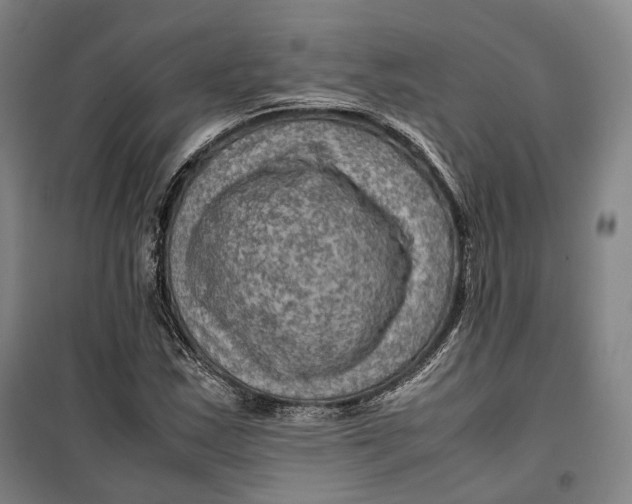 X0000099571163200806061556