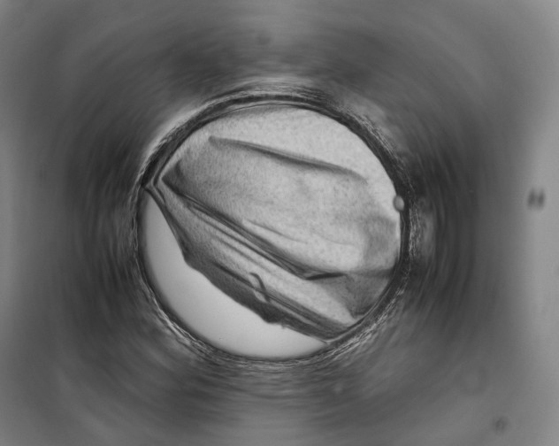 X0000099571164200806061556