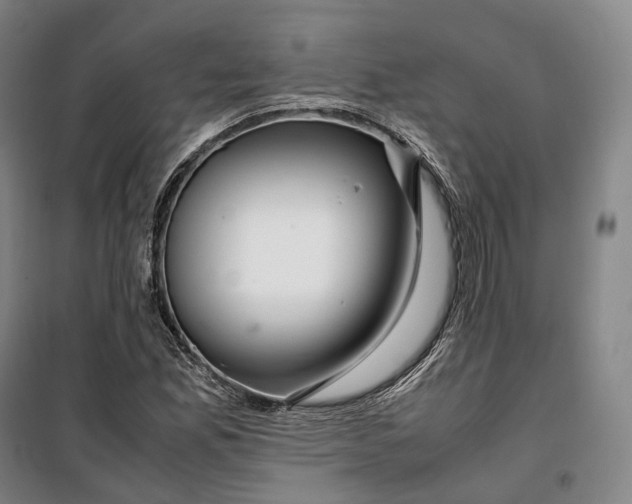 X0000099571165200806061556