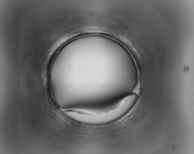 X0000099571167200806061556
