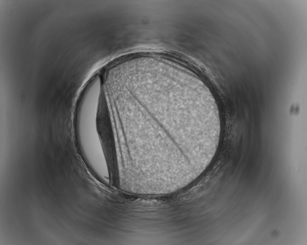 X0000099571168200806061556
