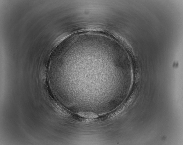 X0000099571169200806061556