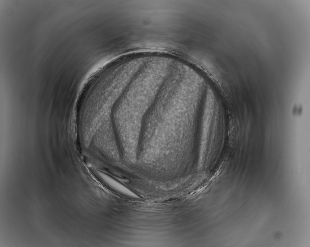 X0000099571172200806061556