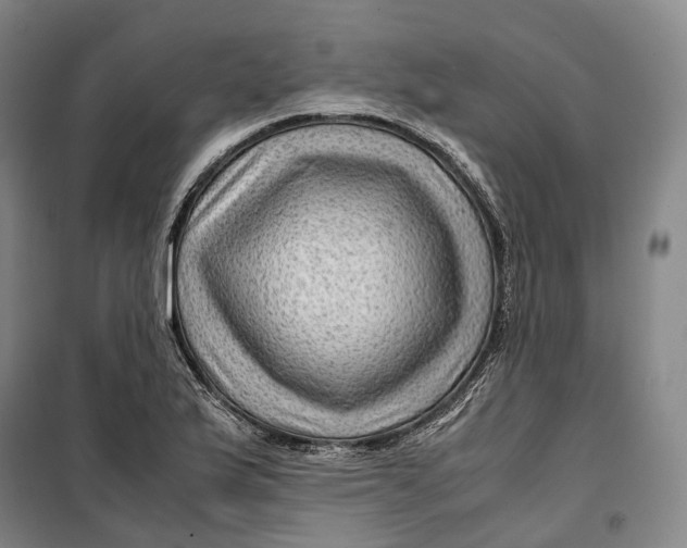 X0000099571175200806061556