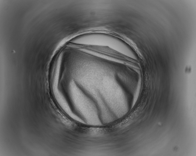 X0000099571176200806061556